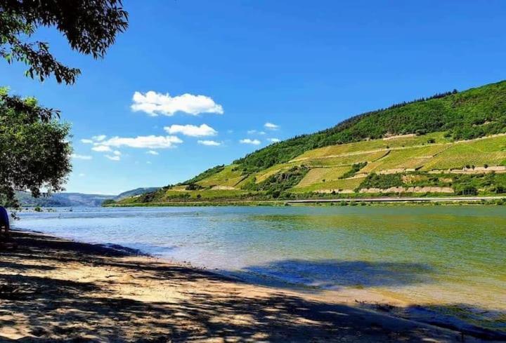 Wunderschoene Aussicht Garantiert Trechtingshausen Екстер'єр фото